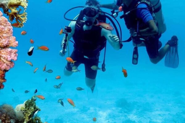 Diving