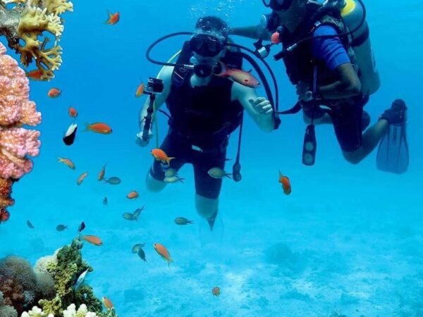 Diving