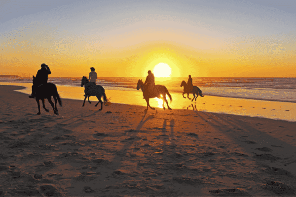 Horse Riding 2 Hours