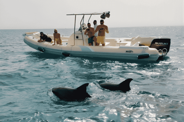 Speed Boat