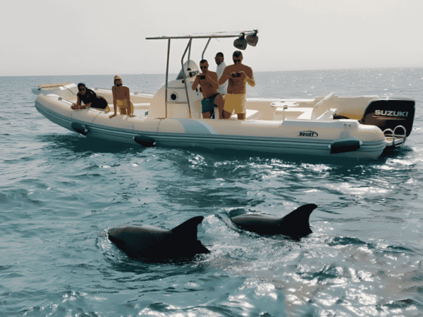 Speed Boat